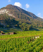 Ein Blick aus dem tpc ASD (Aigle–Sépey–Diablerets) Regionalzug (R 24) Diablerets nach Aigle, der tpc AL (Aigle–Leysin) Regionalzug (R 25) von Leysin nach Aigle fährt am 08