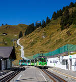 TPC 125 Jahre BVB! (Les TPC c�l�brent les 125 ans du BVB!):  Der tpc BVB BDeh 4/4 – 81 „Gryon“ ein elektrischer Personentriebwagen mit Gep�ckabteil f�r den gemischtem Adh�sions- und