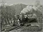 Herrlich dampfend und rauchend fährt die 01 202 mit ihrem langen Extrazug nach Frankfurt und Nürnberg kurz nach der Abfahrt in Locarno bei Muralto vorbei.