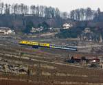   Eine ungewöhnliche NPZ-Kompositionen: Der Train des Vignes (RBDe 560 131 mit dem Steuerwagen BDt EWII 50 85 82-33 931-5 ) fährt hier 25.02.2012 oberhalb von St.