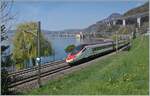 Der SBB ETR 610 009 ist als EC 45 von Genève nach Milano unterwegs und konnte kurz vor Villeneuve in der Frühlingsgrünen Landschaft am Genfer See fotografiert werden. Im Hintergrund ist das Château de Chillon zu erkennen.

3. April 2025