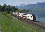 Ein neuer SBB RABe 512 ist kurz nach Villeneuve auf dem Weg in Richtung Lausanne.