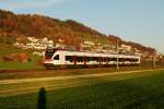 SBB: RE nach Olten im herbstlichen Abendlicht mit einem Triebzug 523 FLIRT von Stadler Rail bei Egolzwil am 8.