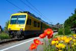 Wir sind in Chexbres angekommen und der   Train des Vignes  (S31) in der Zugskomposition (SBB RBDe 560 131-5 mit Steuerwagen Bt 50 85 29-35 931-9) f�hrt nun weiter nach Puidoux.