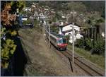 Ein SBB Domino hat Locarno verlassen und fährt nun Richtung Tenero.