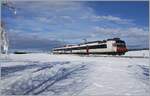 Zwischen Sales und Vaulruz konnte in einer herrlichen Winterlandschaft dieser SBB RBDe 560 Domino fotografiert werden.