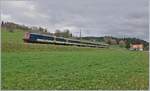 Der SBB NPZ RE Neuchâtel - Frasne kurz vor dem Kulminationspunkt bei Les Bayards.