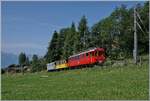 Ein kleiner Zug auf grosser Fahrt: Der RhB Bernina Bahn ABe 4/4 I N� 35 der Blonay Chamby Bahn ist mit dem Bernina Bahn As2 und dem MOB B4 N� 61 (beide auch Blonay-Chamby) als  Valrose Nostalgie Express  kurz vor Les Avants auf der Fahrt von Montreux nach Rougemont. 

15. Juni 2025