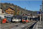 Bunte MOB in Zweisimmen: der MOB Lenkerpendel Be 4/4 5002  Nankai , der Be 4/4 1007  Bipperlisi  und BDe 4/4 302. 

30. Nov. 2024