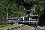 Die Rochers de Naye Triebwagen Bhe 4/8 N° 302 und 304  La Tour de Peilz  verlassen Le Trembles Richtung Rochers de Naye.