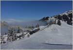 Die RB H 2/3 16 schiebt ihren Dampfzug Richtung Rigi Kulm und erreicht Rigi Staffel.